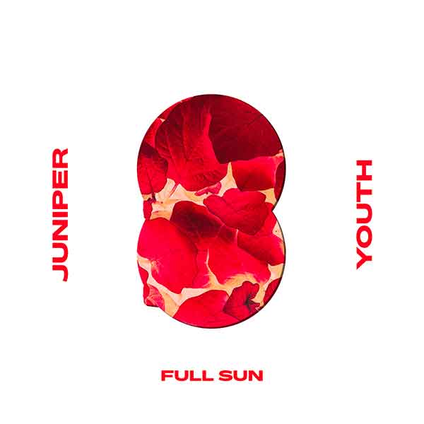 Juniper Youth - Full Sun Single